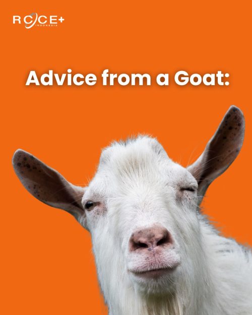 Advice from a Goat