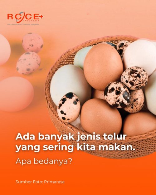Beda Selera Boleh, Tapi Matang Itu Wajib!
