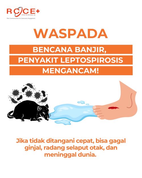 Bencana Banjir, Penyakit Leptospirosis Mengancam!