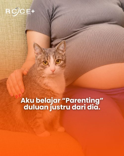 Berguru Parenting pada Kucing Sendiri