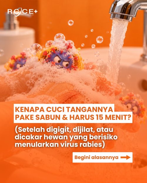 Wajib Tahu! Alasan Cuci Luka Gigitan Hewan Harus Pakai Sabun Selama 15 Menit