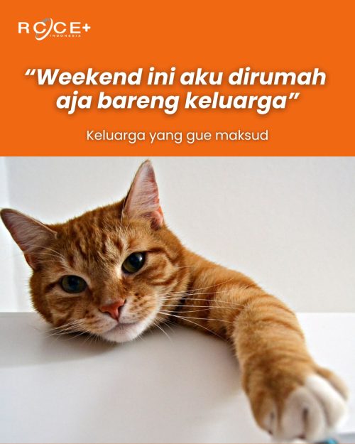 Definisi 'Keluarga' Versi Anabul