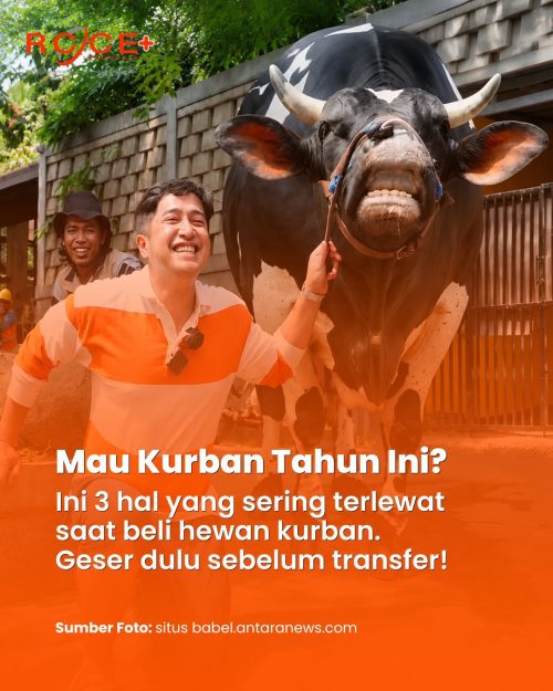 Mau Kurban? Jangan Asal Transfer! Cek 3 Hal Krusial Ini Dulu