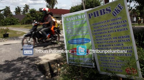 Sumber: Tribun Pekanbaru