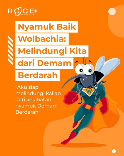 Nyamuk Baik Wolbachia