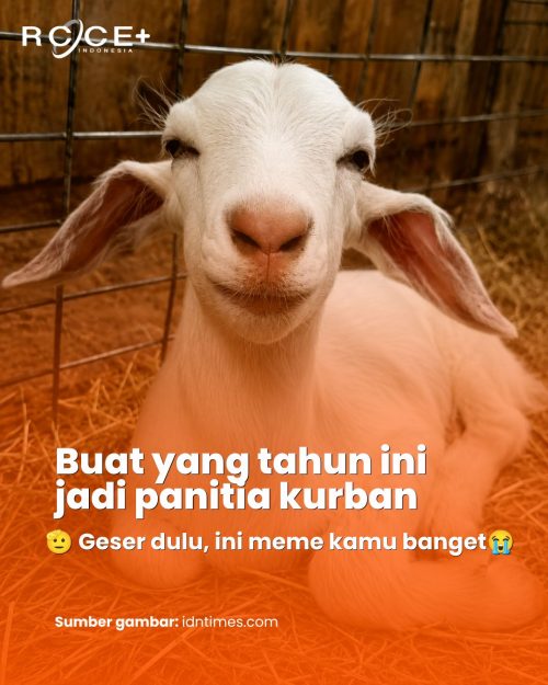 Panduan APD Wajib untuk Panitia Kurban