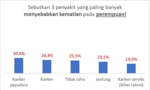 Sumber Gambar: Survei UNICEF Nielsen Kwartal 4 2024