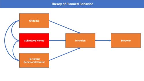 Sumber Gambar : Adaptasi dari www.melinakmiller.com/theory-of-planned-behavior-purchase-intentions