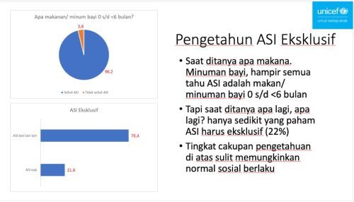 Tingkat Pengetahuan ASI Saja