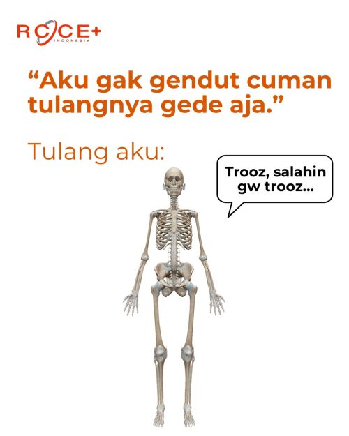 Tulang tulang apa yang dirayain tiap tahun? Tulang Tahun~